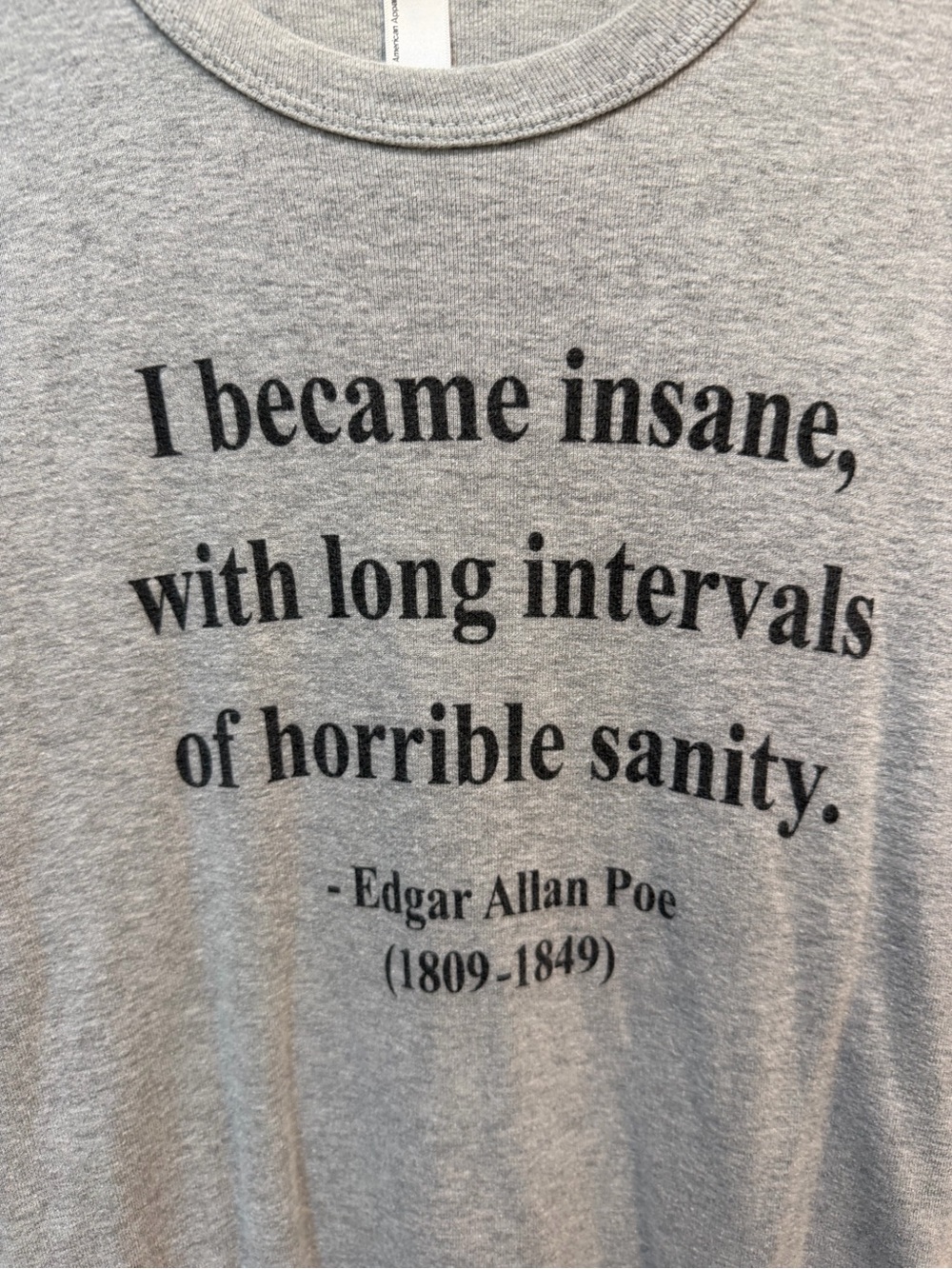 American Apparel Gray Edgar Allan Poe Quote Poster